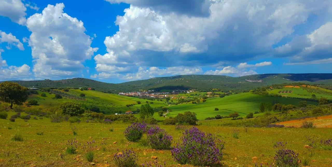 Casa Demaximo Villa Navalpino Dış mekan fotoğraf