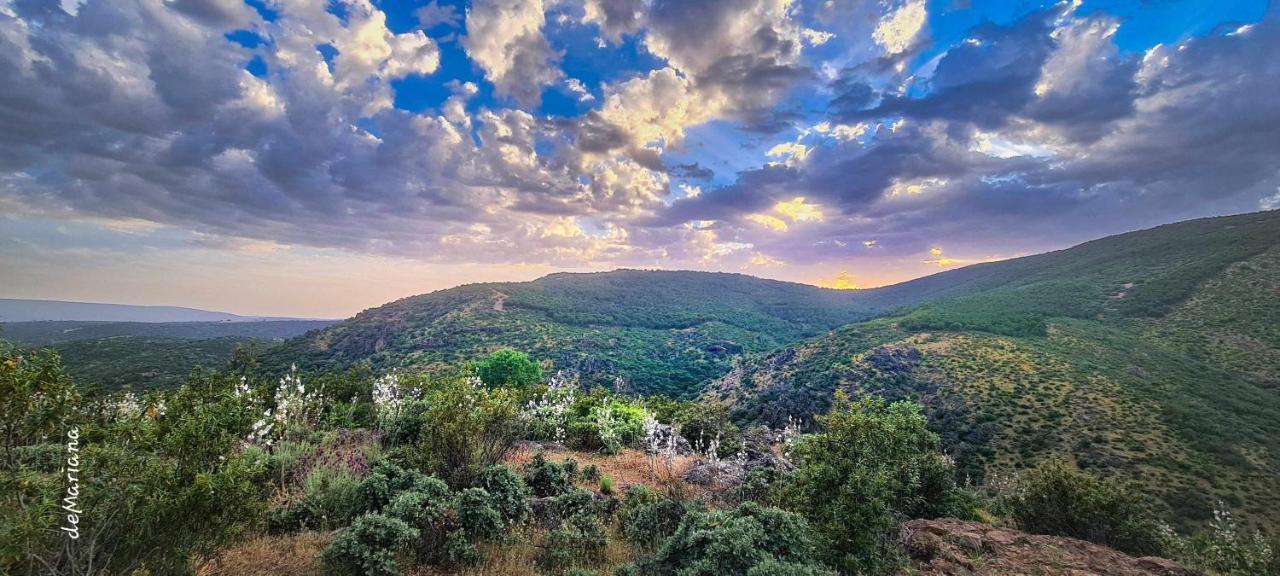 Casa Demaximo Villa Navalpino Dış mekan fotoğraf